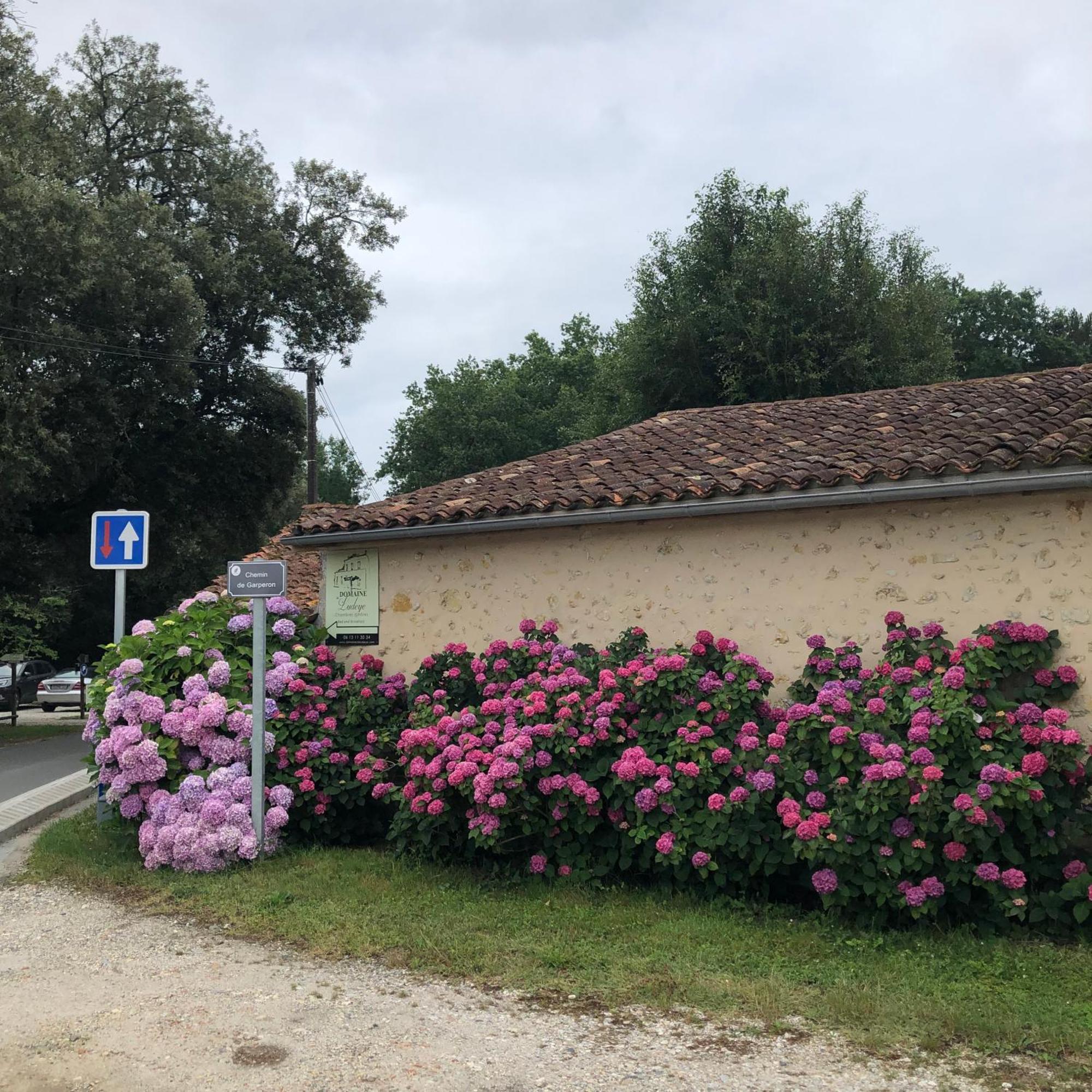 Domaine De Ludeye Otel Listrac-Médoc Dış mekan fotoğraf