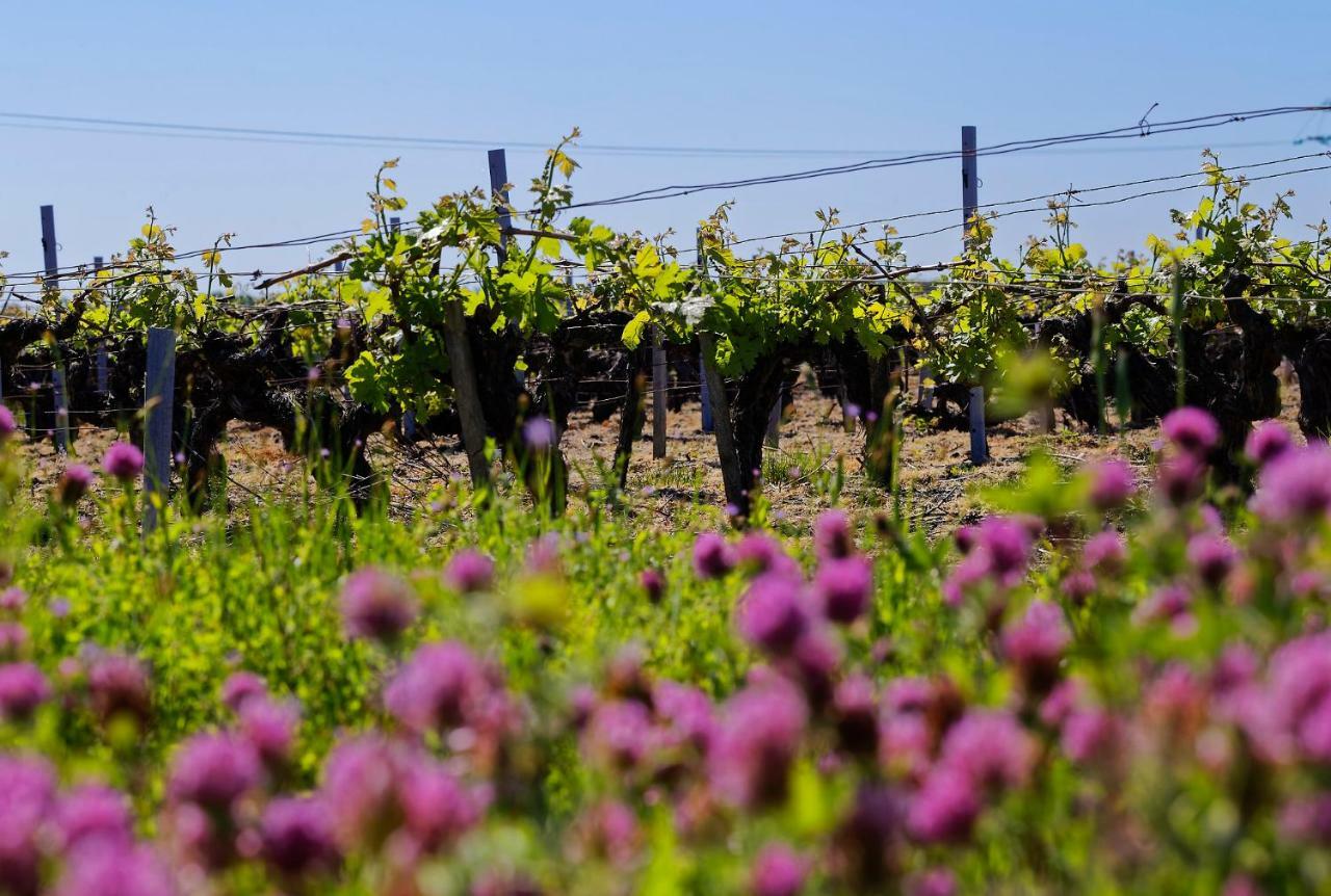 Domaine De Ludeye Otel Listrac-Médoc Dış mekan fotoğraf