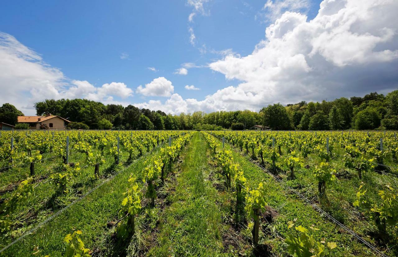 Domaine De Ludeye Otel Listrac-Médoc Dış mekan fotoğraf